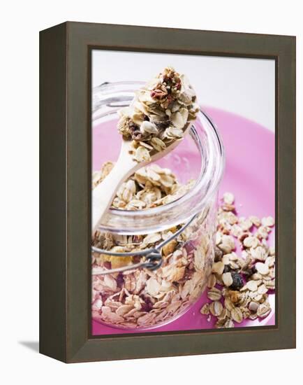 Muesli with Dried Fruit in Preserving Jar-null-Framed Premier Image Canvas