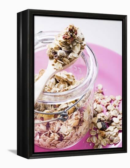 Muesli with Dried Fruit in Preserving Jar-null-Framed Premier Image Canvas