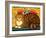 Muffin, the Covent Garden Cat, 1996-Frances Broomfield-Framed Giclee Print