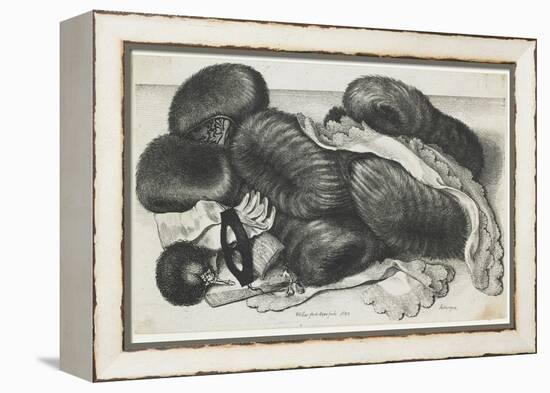 Muffs and Articles of Clothing on a Table, 1647-Wenceslaus Hollar-Framed Premier Image Canvas