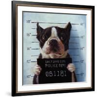 Mug Shot-Lucia Heffernan-Framed Art Print