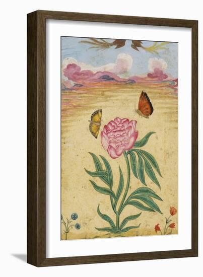 Mughal Miniature Painting Depicting a Peony with Birds of Paradise and Butterflies-Stapleton Collection-Framed Giclee Print