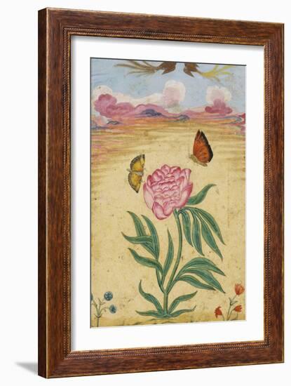 Mughal Miniature Painting Depicting a Peony with Birds of Paradise and Butterflies-Stapleton Collection-Framed Giclee Print