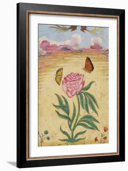 Mughal Miniature Painting Depicting a Peony with Birds of Paradise and Butterflies-Stapleton Collection-Framed Giclee Print