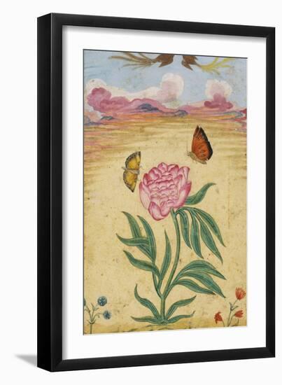 Mughal Miniature Painting Depicting a Peony with Birds of Paradise and Butterflies-Stapleton Collection-Framed Giclee Print