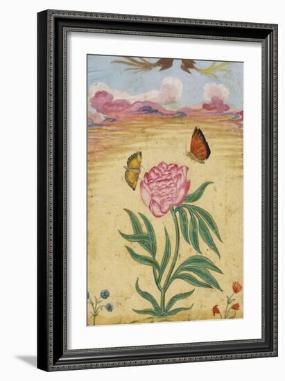 Mughal Miniature Painting Depicting a Peony with Birds of Paradise and Butterflies-Stapleton Collection-Framed Giclee Print