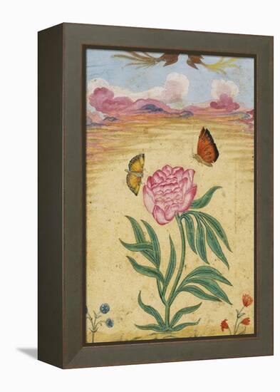 Mughal Miniature Painting Depicting a Peony with Birds of Paradise and Butterflies-Stapleton Collection-Framed Premier Image Canvas