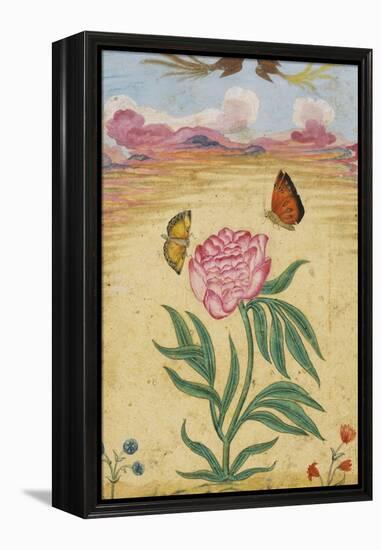 Mughal Miniature Painting Depicting a Peony with Birds of Paradise and Butterflies-Stapleton Collection-Framed Premier Image Canvas