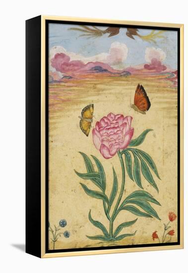 Mughal Miniature Painting Depicting a Peony with Birds of Paradise and Butterflies-Stapleton Collection-Framed Premier Image Canvas