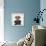 Mugshot Dog-Javier Brosch-Framed Premier Image Canvas displayed on a wall