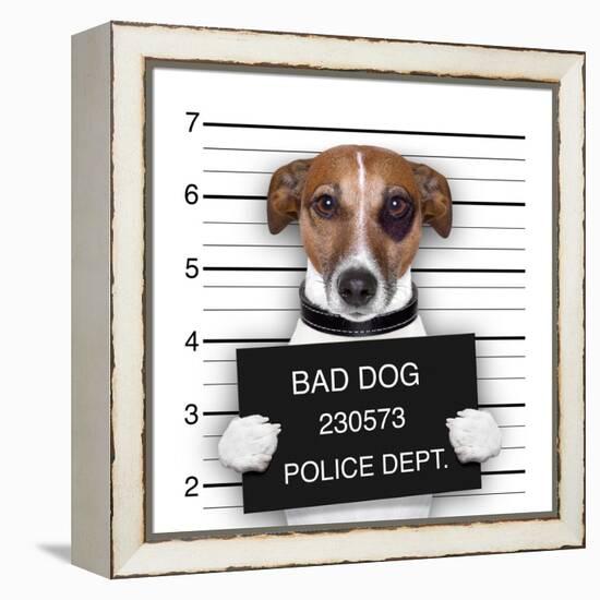 Mugshot Dog-Javier Brosch-Framed Premier Image Canvas