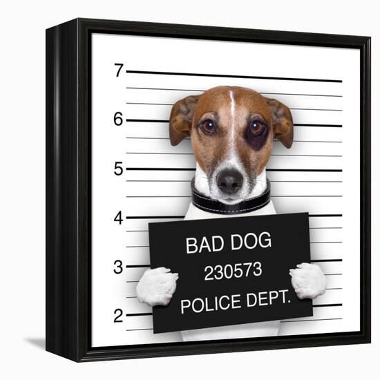 Mugshot Dog-Javier Brosch-Framed Premier Image Canvas