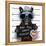 Mugshot Dog-Javier Brosch-Framed Premier Image Canvas
