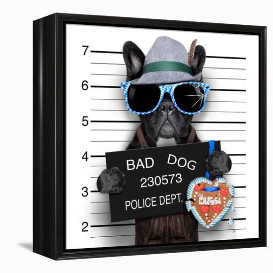 Mugshot Dog-Javier Brosch-Framed Premier Image Canvas