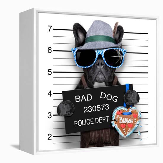 Mugshot Dog-Javier Brosch-Framed Premier Image Canvas