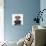 Mugshot Dog-Javier Brosch-Photographic Print displayed on a wall