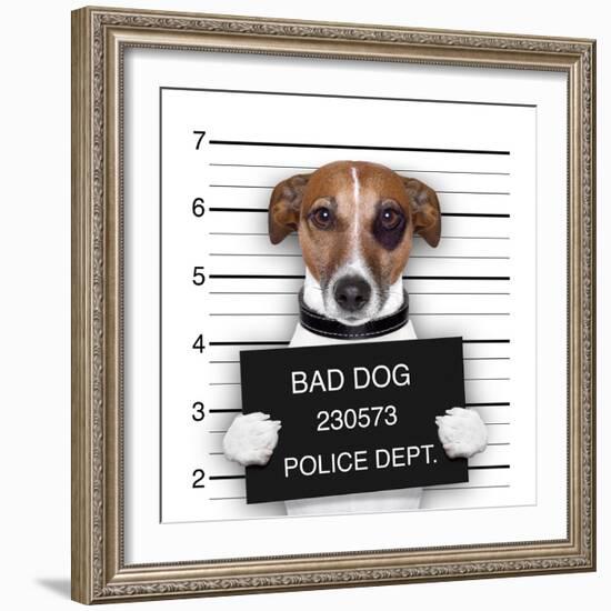 Mugshot Dog-Javier Brosch-Framed Photographic Print