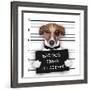 Mugshot Dog-Javier Brosch-Framed Photographic Print