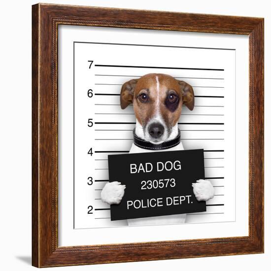 Mugshot Dog-Javier Brosch-Framed Photographic Print