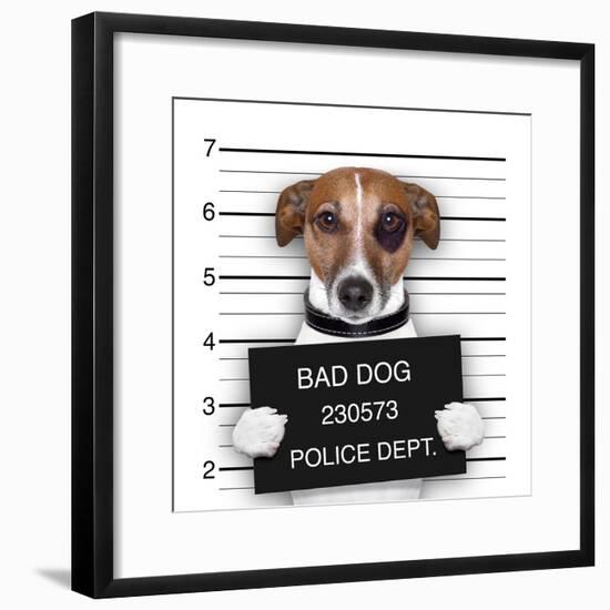 Mugshot Dog-Javier Brosch-Framed Photographic Print