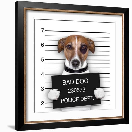 Mugshot Dog-Javier Brosch-Framed Photographic Print