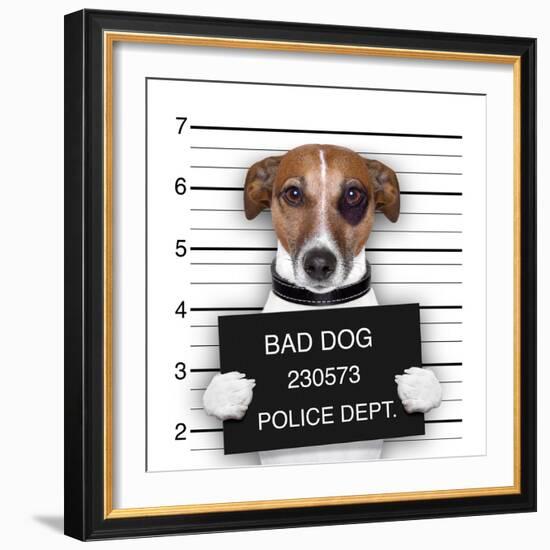 Mugshot Dog-Javier Brosch-Framed Photographic Print