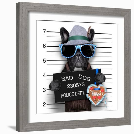 Mugshot Dog-Javier Brosch-Framed Photographic Print