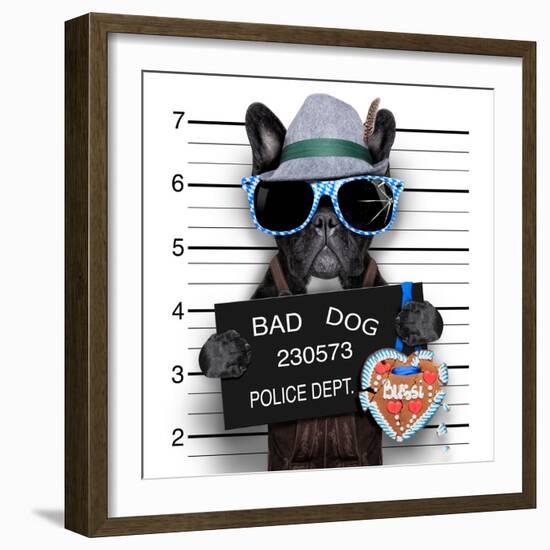 Mugshot Dog-Javier Brosch-Framed Photographic Print