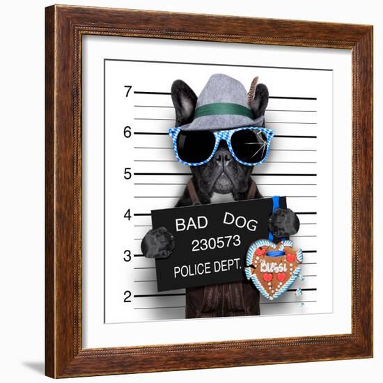 Mugshot Dog-Javier Brosch-Framed Photographic Print