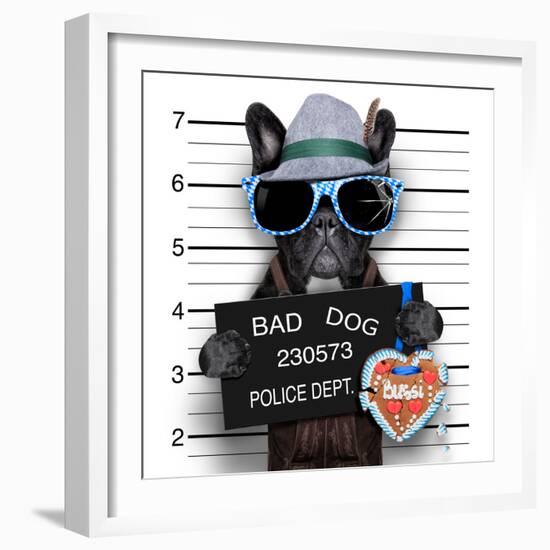 Mugshot Dog-Javier Brosch-Framed Photographic Print