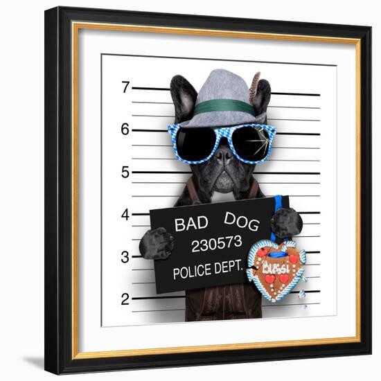 Mugshot Dog-Javier Brosch-Framed Photographic Print