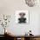 Mugshot Dog-Javier Brosch-Giclee Print displayed on a wall