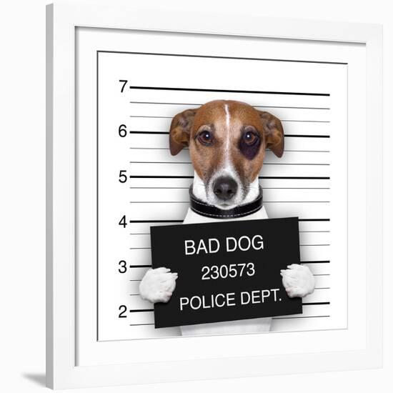 Mugshot Dog-Javier Brosch-Framed Giclee Print