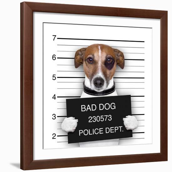 Mugshot Dog-Javier Brosch-Framed Giclee Print