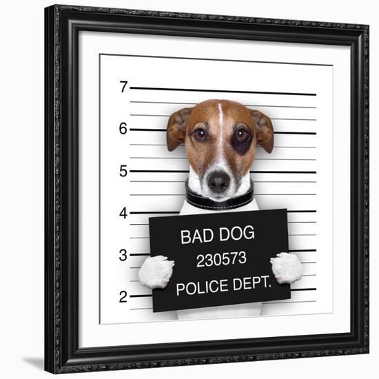 Mugshot Dog-Javier Brosch-Framed Giclee Print