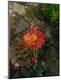 Premium Photographic Print