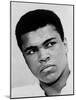 Muhammad Ali in 1967, the Year He Refused Induction into the U.S. Military-null-Mounted Photo