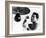 Muhammad Ali, The Greatest-Science Source-Framed Giclee Print