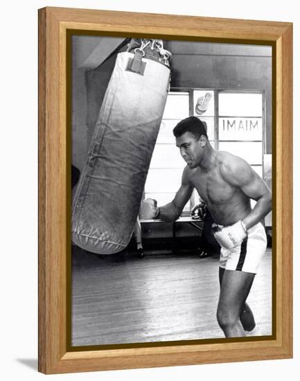 Muhammad Ali Training at the 5th Street Gym, Miami Beach, 27 September 1965-null-Framed Premier Image Canvas