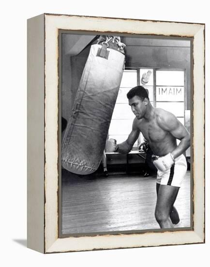 Muhammad Ali Training at the 5th Street Gym, Miami Beach, 27 September 1965-null-Framed Premier Image Canvas