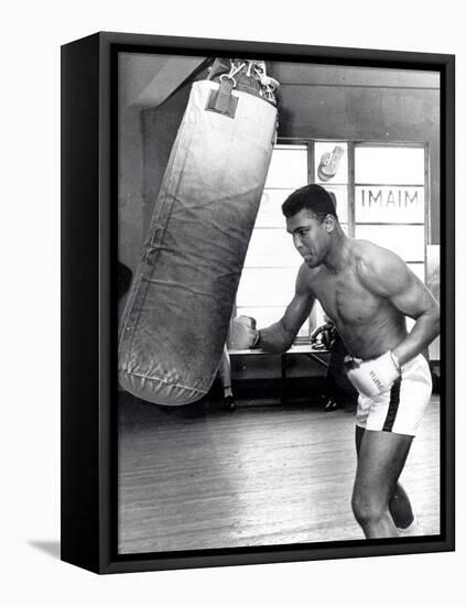 Muhammad Ali Training at the 5th Street Gym, Miami Beach, 27 September 1965-null-Framed Premier Image Canvas