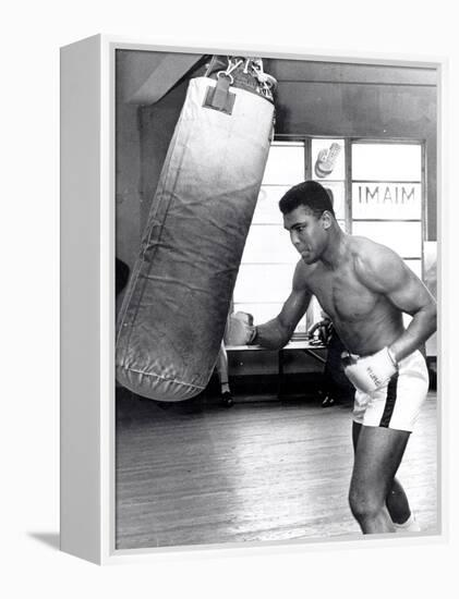 Muhammad Ali Training at the 5th Street Gym, Miami Beach, 27 September 1965-null-Framed Premier Image Canvas