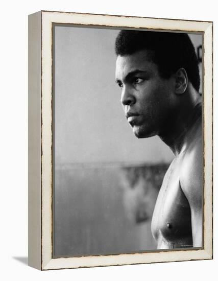Muhammad Ali Training for His Fight against Joe Frazier-John Shearer-Framed Premier Image Canvas