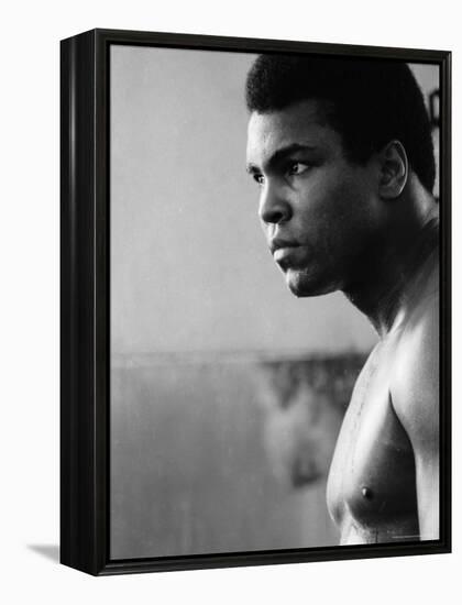 Muhammad Ali Training for His Fight against Joe Frazier-John Shearer-Framed Premier Image Canvas