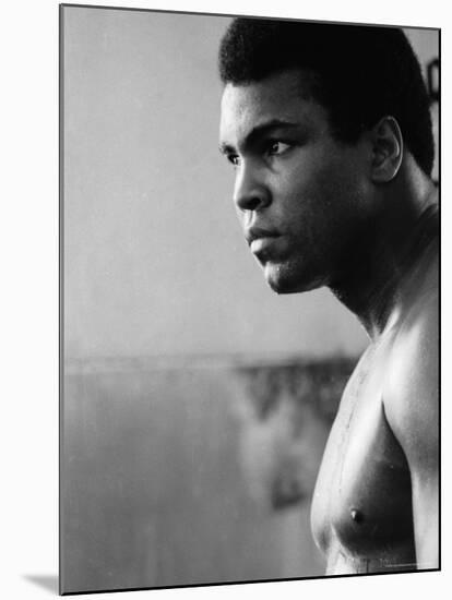 Muhammad Ali Training for His Fight against Joe Frazier-John Shearer-Mounted Premium Photographic Print