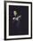 Muhammad Ali-John Shearer-Framed Premium Photographic Print