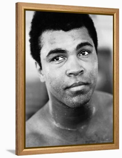 Muhammad Ali-John Shearer-Framed Premier Image Canvas