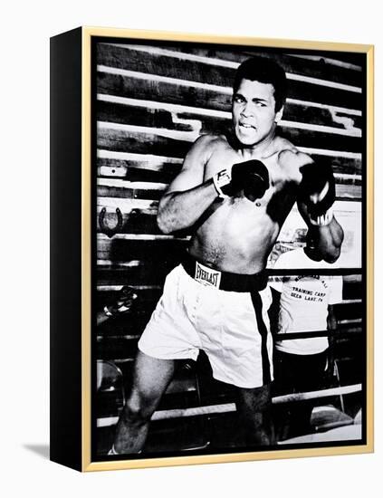 Muhammad Ali-null-Framed Premier Image Canvas