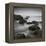 Muir Beach-Jamie Cook-Framed Premier Image Canvas