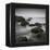 Muir Beach-Jamie Cook-Framed Premier Image Canvas